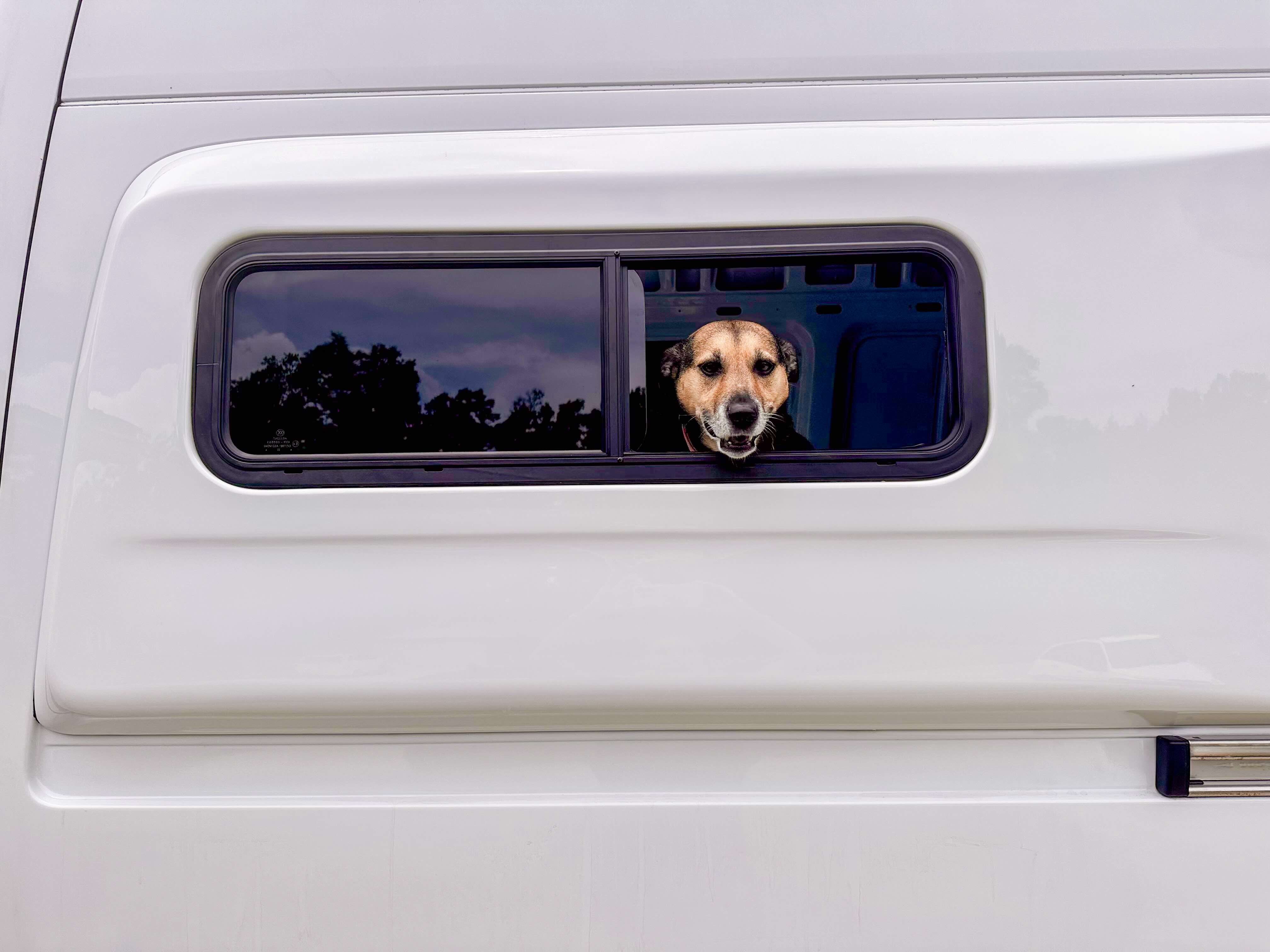 *NEW* Sprinter Van 170" Full Flare - Flarespace Adventure Van Conversion Parts