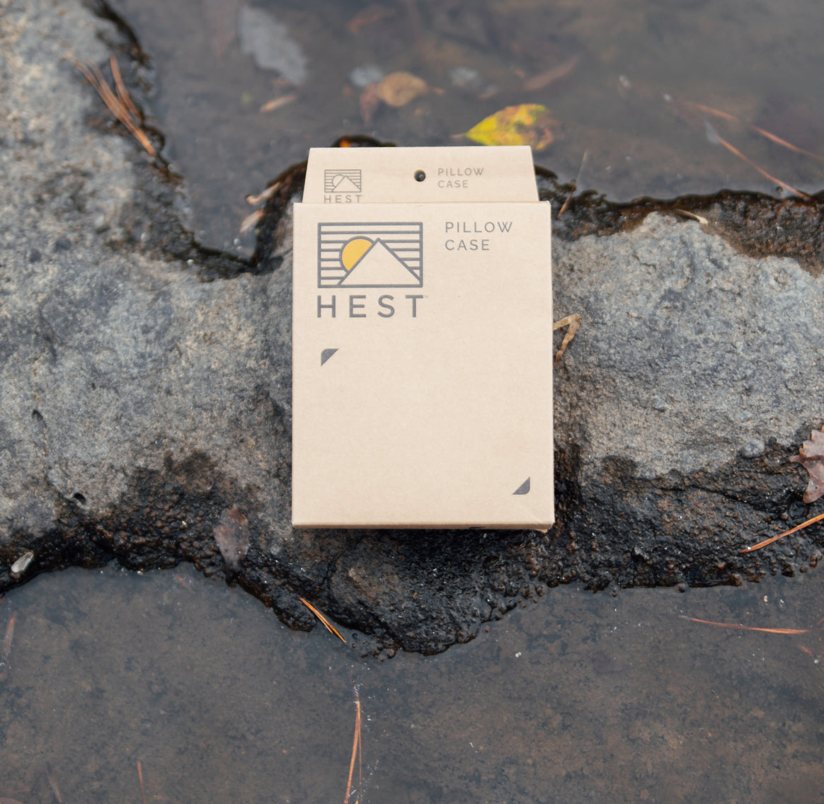 Storyteller Live Free, Explore Endlessly, Tell Better Stories Pillowcase