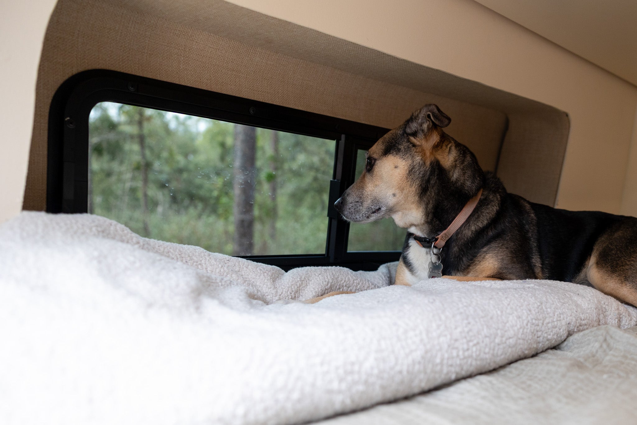 Sprinter Van 170" Full Flare - Flarespace Adventure Van Conversion Parts